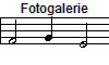 Fotogalerie